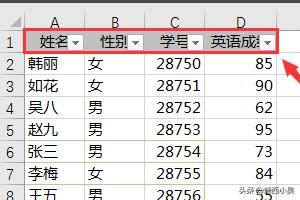 excel数据筛选,Excel的数据筛选功能？