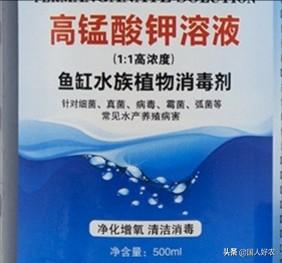 蛙眼守宫有细菌吗:如何有效预防青蛙歪头症状？