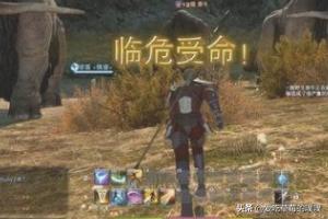 绿色荧光陆行鸟:最终幻想FF14陆行鸟怎么获得