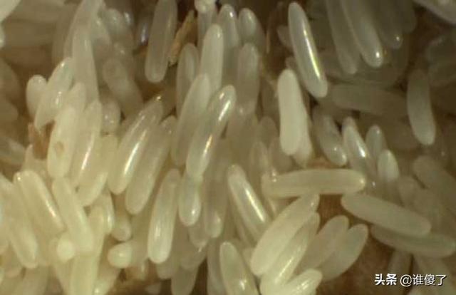 鱼饵料:钓鲫鱼最简单的饵料怎么配？