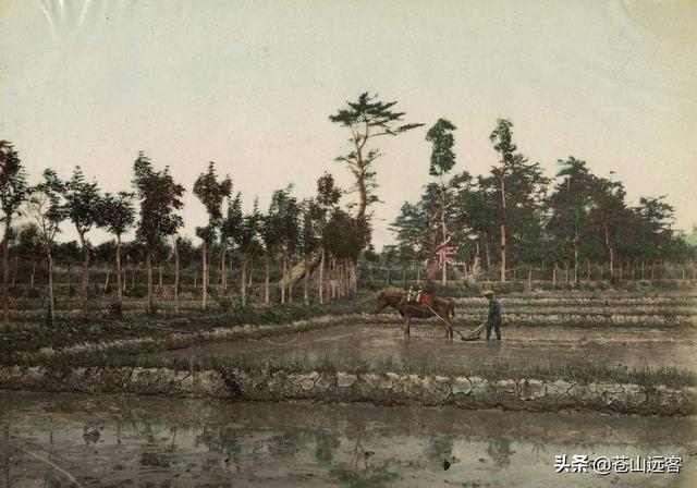 问所从来的所，《桃花源记》究竟讲了什么？