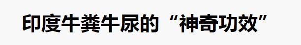 你觉得哪部电影、电视剧应该禁止播出？为什么？