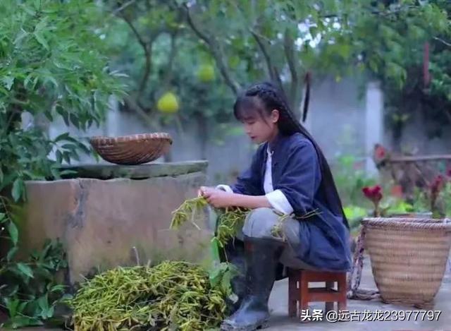 为什么感觉李子柒不如以前红了(李子柒为什么会这么火)