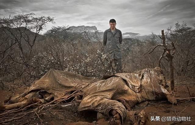 如何判断一个物种是否灭绝？