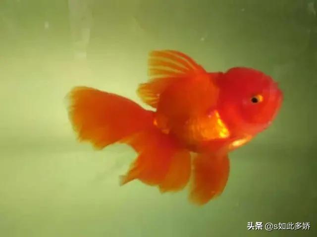 夜阑人静人未睡,听啥歌曲合适好听？