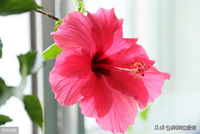 <a href=https://maguai.com/list/256-0-0.html target=_blank class=infotextkey>朋友圈</a>图片配图 励志 心情:求几句特别励志，有正能量的句子？