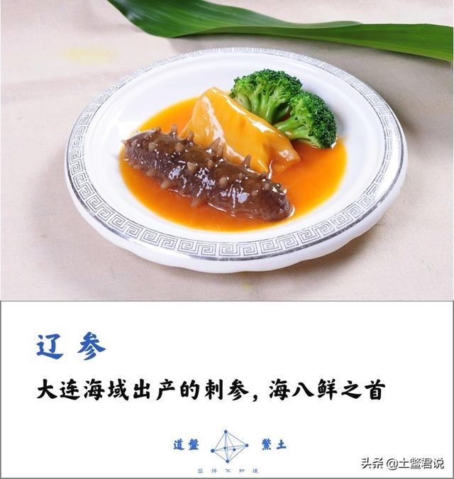 龙趸王:中国四个海哪个海里的海鲜好吃，为什么