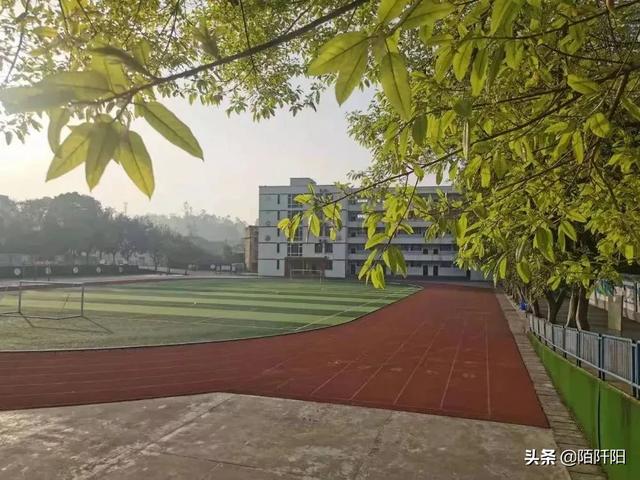萌狗俊介尿液有泡沫:俊介犬拉肚子吃狗粮拌酸奶 “泡沫尿”是什么原因导致的？