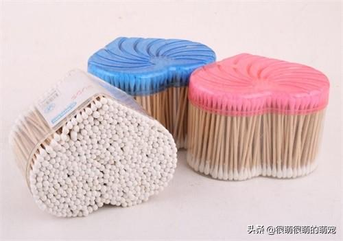 小狗牙龈炎怎么办:宠物狗的嘴里发炎怎么办？