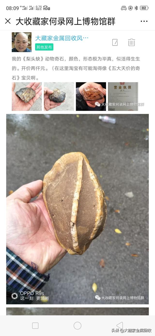 好多石友都说藏石多不如精,你认为有道理吗？