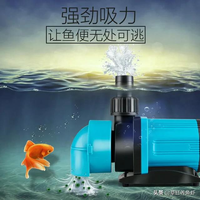 陆佳璐:国产鱼缸潜水泵哪个牌子最好