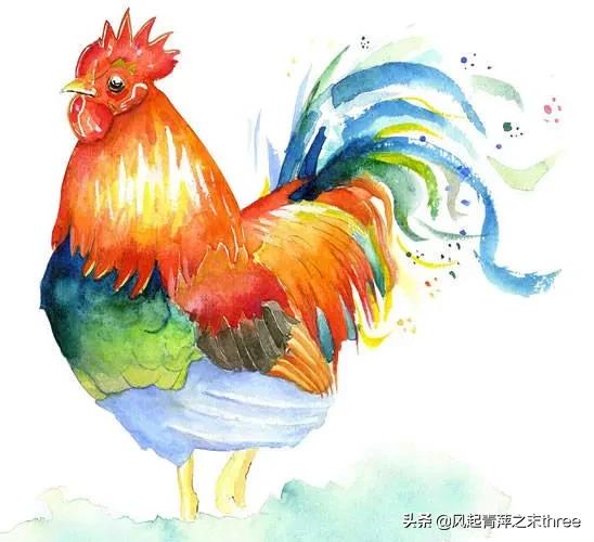 鸡和狗属相配对,属鸡的和属狗的结婚后幸福吗？为什么？