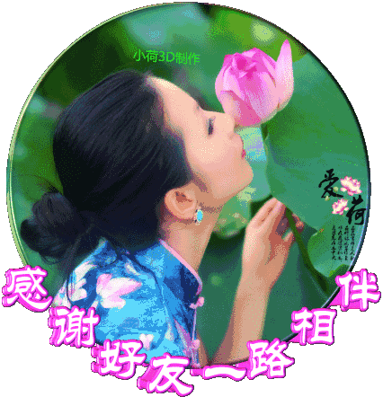 426_442gif 动态图 动图