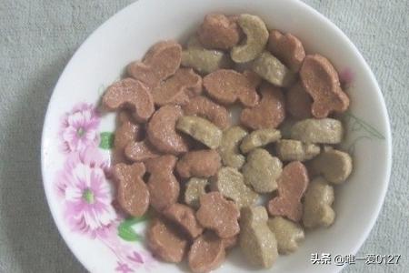 猫瘟:猫瘟怎么治，小猫得了猫瘟怎么办？