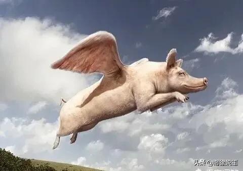 现在请的主播一般工作多长时间？