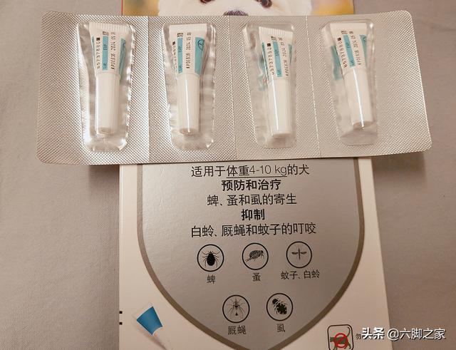 犬钩虫病的诊断与防治:如何判断狗狗有虫？该如何给狗狗选择驱虫药？ 犬猫心丝虫病的预防及控制