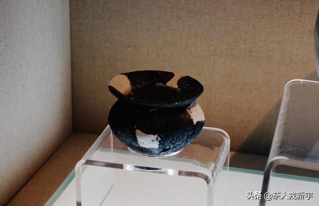 萤火虫祖先被发现:为什么农村夜晚萤火虫越来越少了