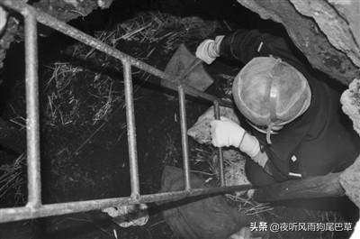 国内有没有重大著名的女性犯罪的案件？