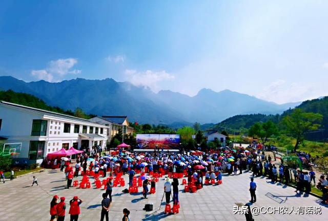 什么叫做职业农民？