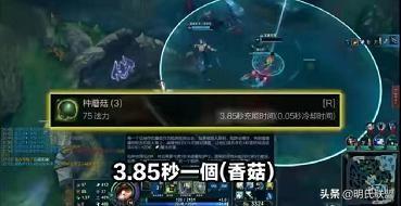 提莫可以点终极猎人吗？