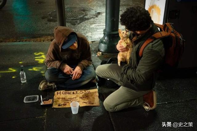 流浪猫鲍勃原型:为什么有的抑郁症患者会需要一只猫呢？