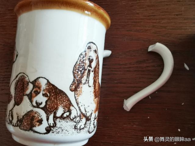 豹猫图片:各位铲屎官们，养猫带给你们哪些乐趣？ 豹猫图片真实