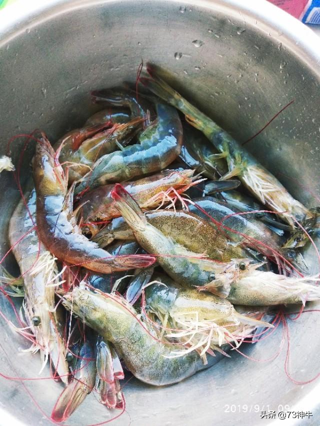 现在市场上出售的活蹦乱跳的大虾,是海水还是淡水的？怎样鉴别？