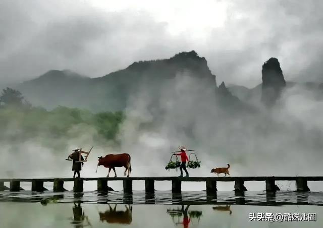 隐秘的角落带火湛江老街:云南，海南，广西养老你选择哪里
