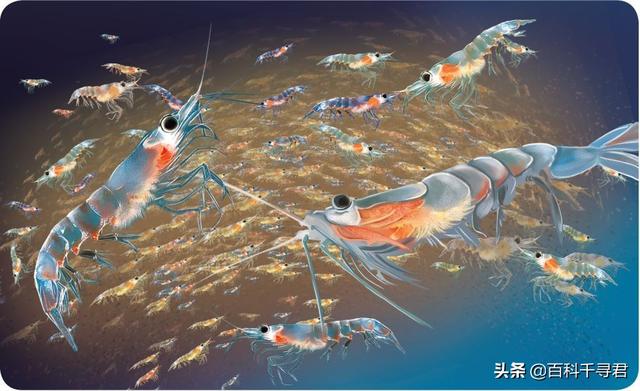 海豹集体午睡:海尔员工午睡被开除：如果不是普通员工还会是这样的结果吗
