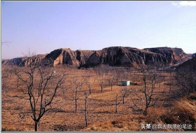 郭晶晶老公身价:全红婵连夺3金，工资等级能提升多少到手能拿多少钱