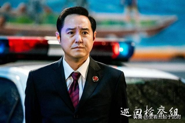 电视剧《巡回检查组》谁的演技最能得到你的认可？
