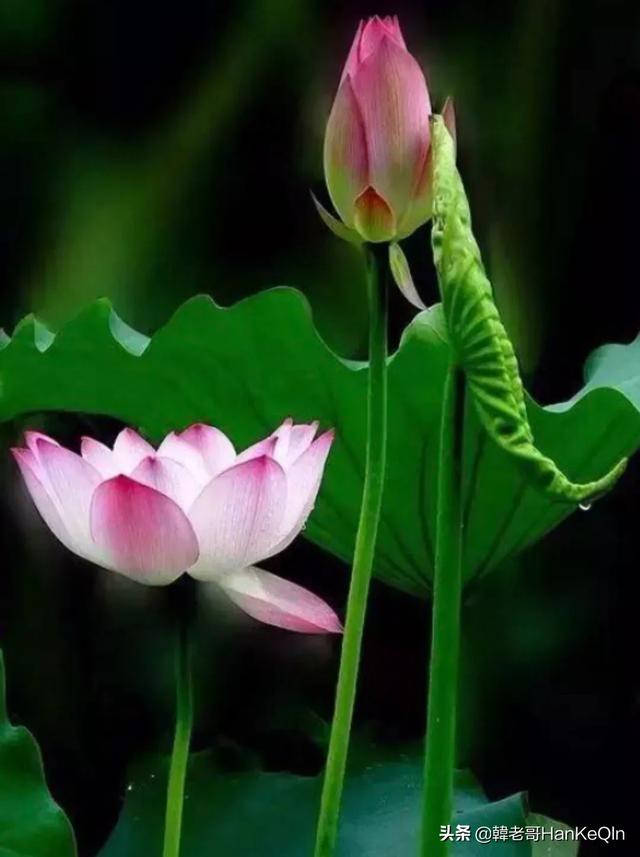 古玩市场上的民间精品古董都流向哪里了？插图122