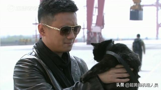 我是特种兵之火凤凰剧情:《我是特种兵之火凤凰》讲了什么？
