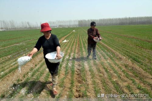 丽水仓鼠待领吧:新手养仓鼠要买什么，有什么好的淘宝店推荐吗？