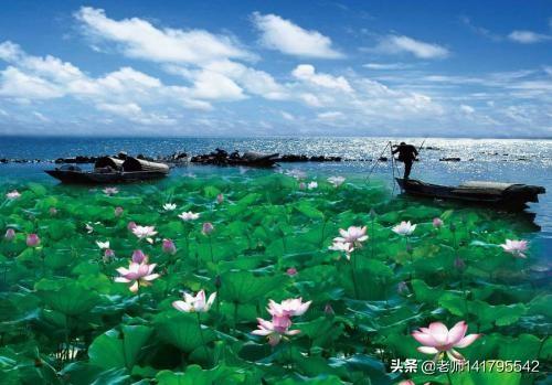 胡皓康:你从“印度孩子举拖鞋照片”这张照片中，看到了什么