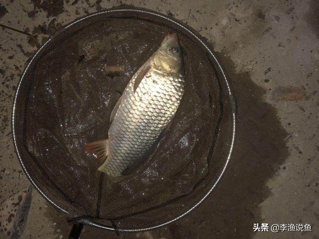 广大钓友晚上夜钓的时候,有没有碰过让人头皮发麻的事情吗？