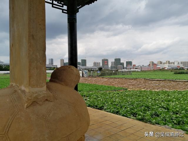山西李建军:沐氏家族世镇云南，到底有多大的权力？