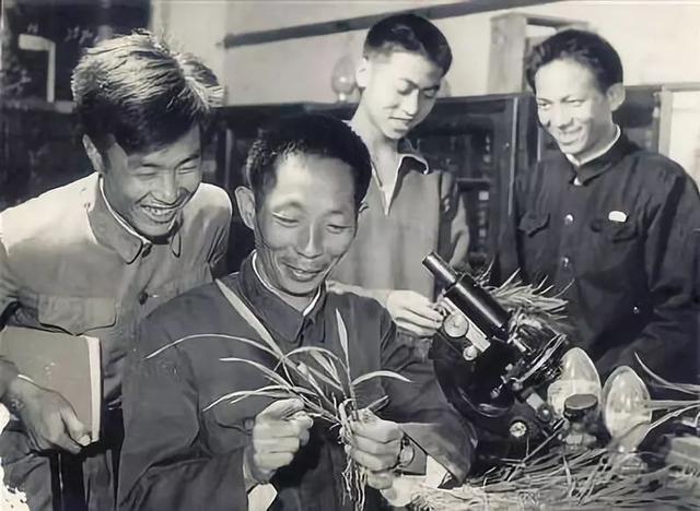 赵咏华:袁隆平院士生前带有多少学生有成就的学生有哪些