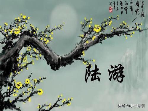陆游的诗句:小学阶段陆游的诗有哪些？