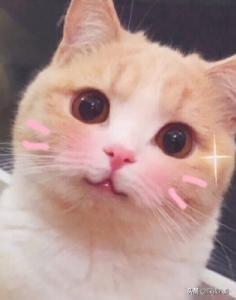 以家人之名结局:《以家人之名》中的陈婷是一个什么样的角色？