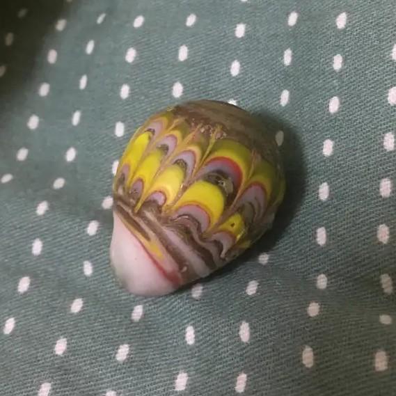 天河石有没有收藏价值,20年前捡的石头，请问有收藏价值吗？