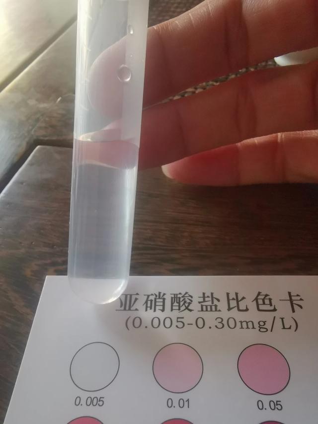 养鱼有什么讲究，养鱼有哪些需要注意的技巧？