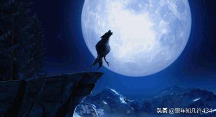 心情不好,有什么笑话分享一下吗,哪怕是假的也好？