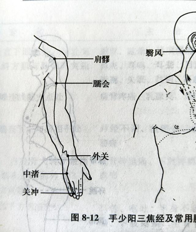 五指如何对应五脏？