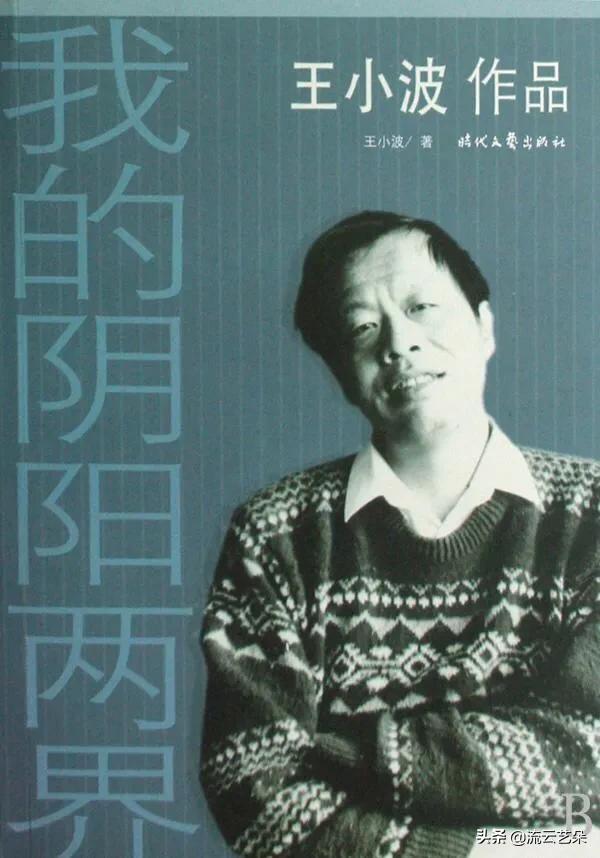 为什么很多人喜欢王小波？