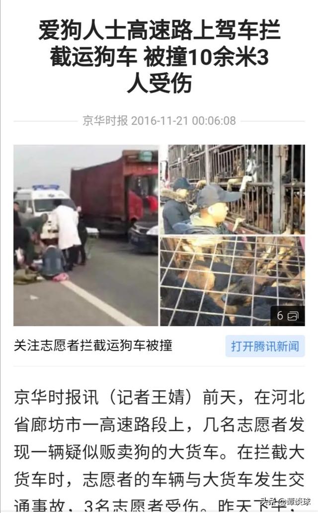 拦车救狗:爱狗的人都是些什么人为什么不用上班每天救治流浪狗