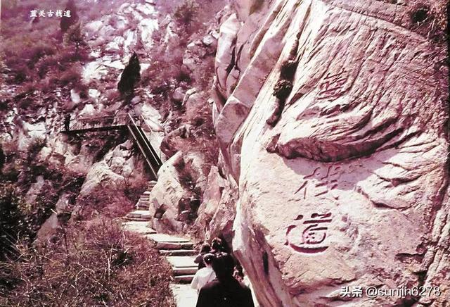 秦王子婴:秦王子婴投降后，刘邦为何没有将子婴杀掉？