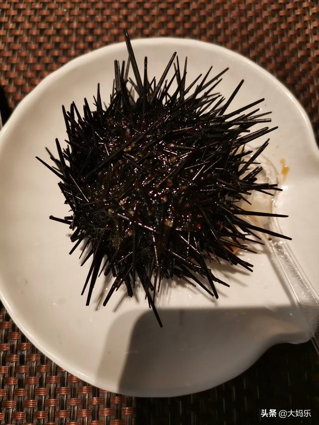 意大利扭玻利顿犬多少钱:你吃过最贵的一餐是多少钱？