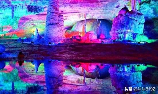 石花图片,中午才晒得到的地方养多肉可以吗？