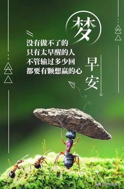 生活感悟的文艺句子:有哪些精辟到噎死人的生活感悟和经典句子分享？(不服生活的句子)